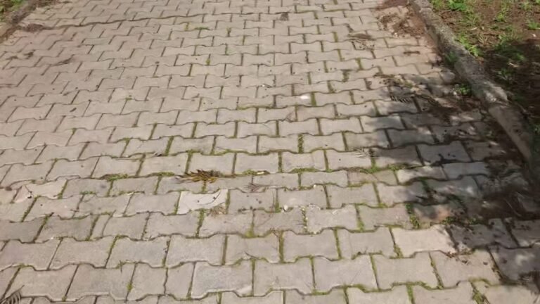 5分鐘漫步塞浦路斯