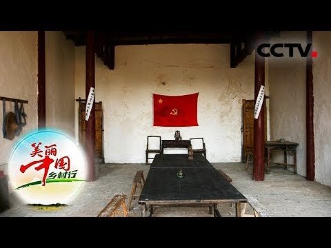 《美丽中国乡村行》乡村振兴看中国——变出来的致富路 20190304 | CCTV农业