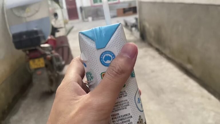 失业在家的未婚女士照样拿到美国签证 美签的审核标准令人费解EP14