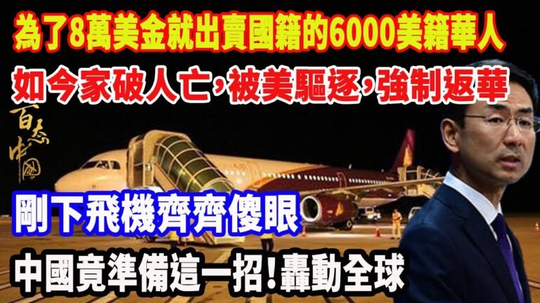 為了8萬美金就出賣國籍的6000美籍華人，如今家破人亡，被美驅逐，強制返華，剛下飛機6000人齊齊傻眼，中國竟準備這一招！轟動全球