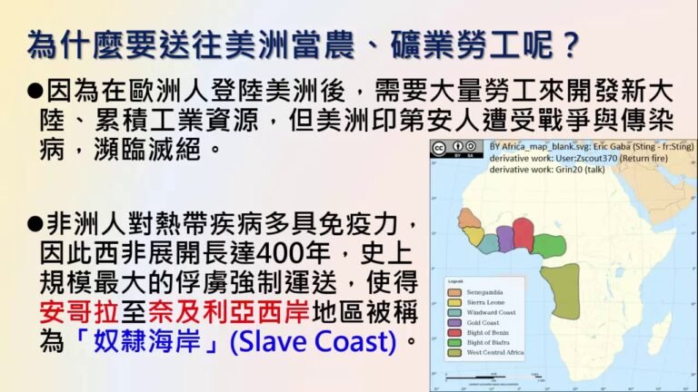 高中地理  非洲的三角貿易