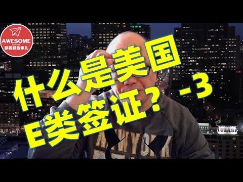 什么是美国E类签证？-3