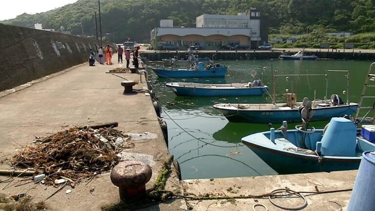 北海岸金山、萬里出現大量海漂垃圾與海藻 20190425 公視晚間新聞