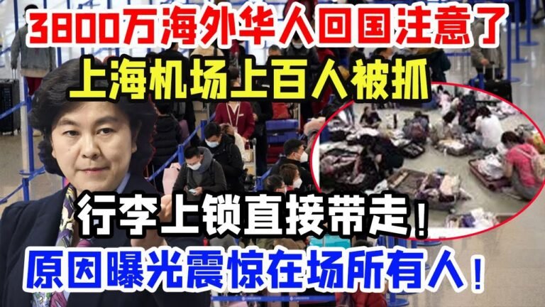 3800万海外华人回国注意了，上海机场100多人被抓，行李上锁直接带走！原因曝光震惊在场所有人！