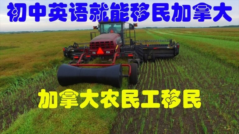 #移民 #加拿大【零投资】【初中英语水平移民加拿大】有史以来加拿大要求最低的移民项目即将实施