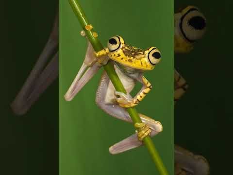 美国签证2017 8 5