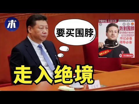 证据显示董经纬出现是造假，淘宝出现防割围脖，留学生签证被拒外交部双标，华大基因搜集全球基因数据，印尼科兴科学家死亡，新加坡不承认科兴疫苗（小木谈天第168期 20210709）