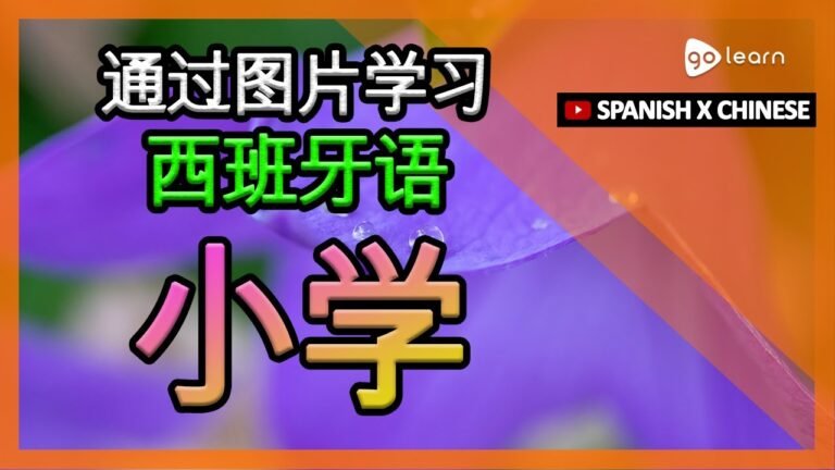 通过图片学习西班牙语|西班牙语词汇小学 | Golearn