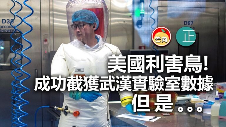 20210809C【美國利害鳥！】成功截獲武漢實驗室數據，但是。。。   |   正向分析