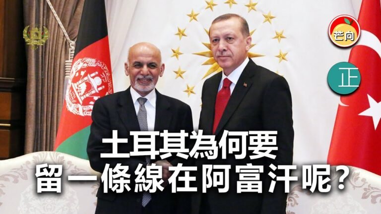 20210811C 土耳其為何要留一條線在阿富汗呢？ |    正向分析