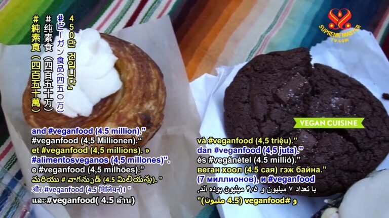 世界素食趋势新闻集锦第1集