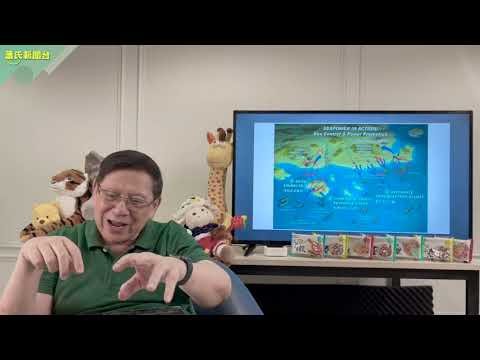 (中字)美國在阿富汗撤退！共軍又來！美軍夏威夷演習分三步曲壓制中國！駐3萬美軍在台灣即開戰？〈蕭若元：蕭氏新聞台〉2021-08-19