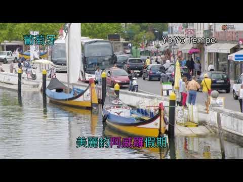 美麗的阿威羅假期   -葡萄牙