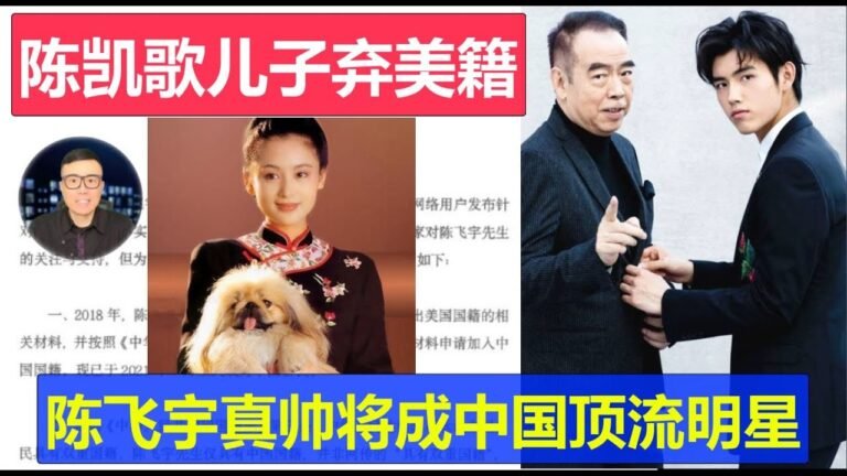 陈凯歌儿子放弃美国籍入籍中国  陈飞宇又帅又聪明将成顶流明星