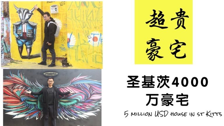 The 5 million USD luxury house in St Kitts 圣基茨4000万的豪宅，性价比如何？？？