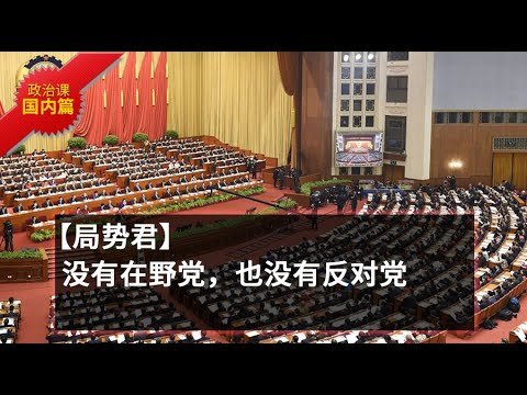 【政治课-国内篇0-2】没有在野党，也没有反对党