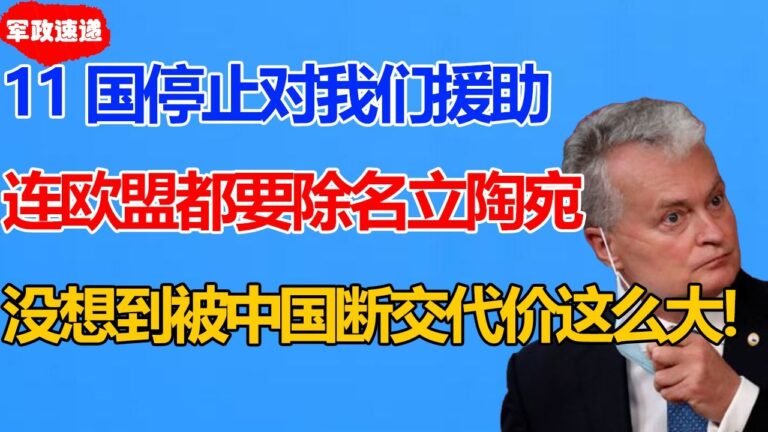 停止对立陶宛援助！踢出欧盟！中国驱逐立陶宛大使断交第2天！欧盟11国发动对立制裁！原因曝光立陶宛总统崩溃：反华反到众叛亲离了！