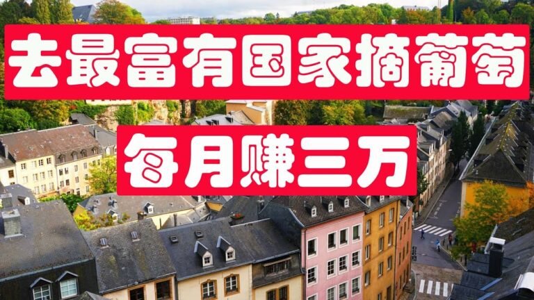 出国劳务最高境界,去最富有的国家摘葡萄,一个月赚3万 卢森堡季节性劳工介绍