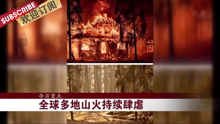 加拿大妄评中方依法处理加在华公民个案，上海启动12-17岁人群新冠疫苗预约接种，全球多地山火肆虐 |《午间30分》20210812【东方卫视官方频道】