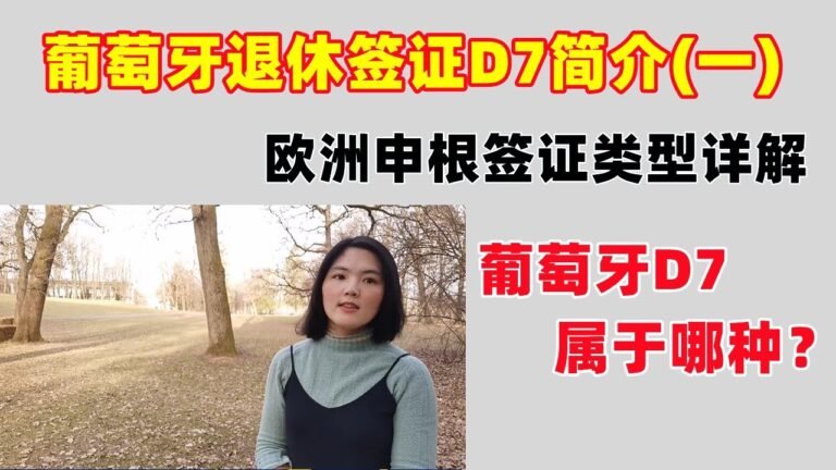 欧洲申根签证有哪些类型？哪种类型适合你？以葡萄牙移民D7签证为例