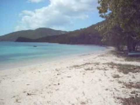 維京群島大學 海灘 – 張德民