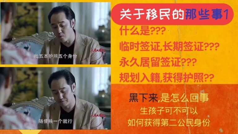 临时签证,永久签证,绿卡,枫叶卡 什么是居民,什么是公民,护照 在想移民或移居之前,看一眼这个视频temporary visa permanent visa green card, 怎样不被政府欺负