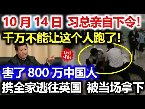 刚刚习总亲自下令：千万不能让这个人跑了！害了800万中国人，现在携全家逃往英国！被当场拿下！