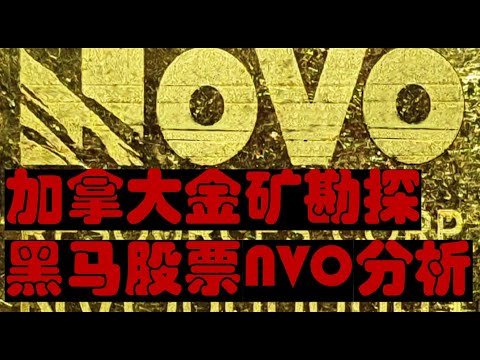 加拿大金矿勘探股票黑马NVO分析