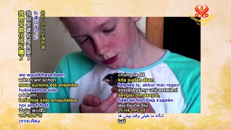 如何获得最多的加持 11