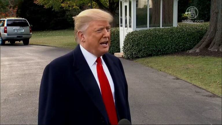 保护美国安全 川普促改出生即公民政策(川普（特朗普）_公民权)