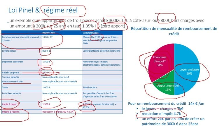 在法国投资买房出租有哪些合理减税的权利——Impôt des locations  et  Impact en meublé et vide