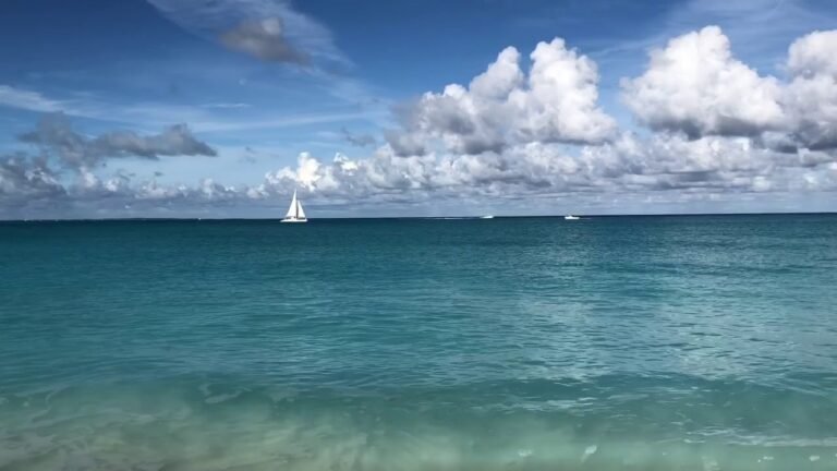 特克斯和凯科斯群岛（3）