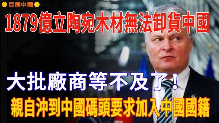 1879億立陶宛木材無法卸貨中國，大批廠商等不及了！親自沖到中國碼頭要求加入中國國籍