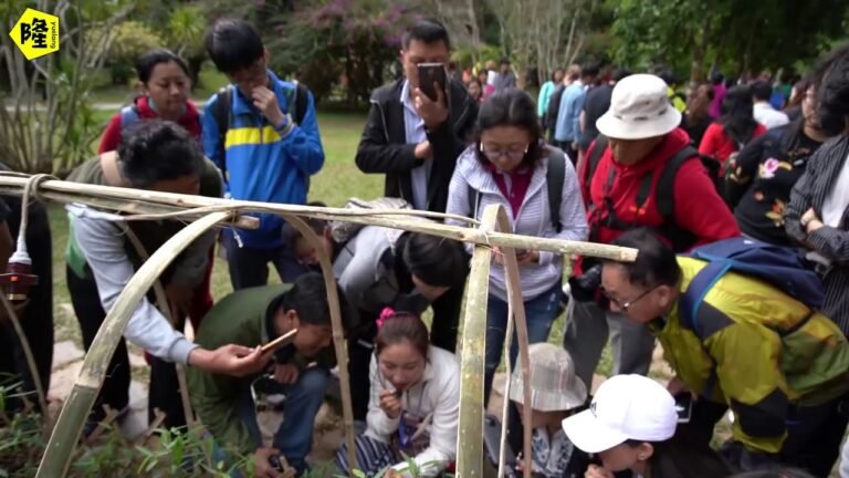 20年前来过的地方故地重游有什么体会发现毒瘤可以治疗月隆脚伤 day61