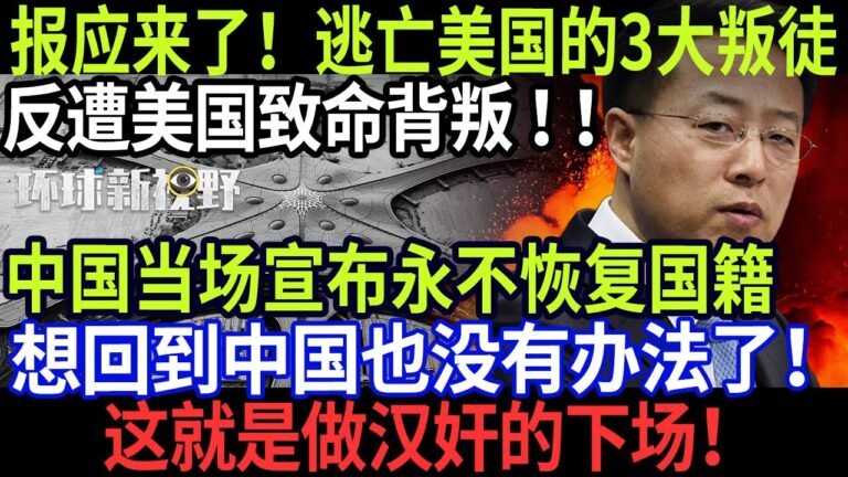 1月1日 报应来了！逃亡美国的3大叛徒，反遭到美国致命背叛！中国当场宣布永不恢复国籍！想回到中国也没有办法了！【环球新视野】