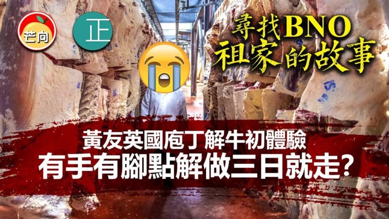 20210619K 《尋找BNO祖家的故事》黃友英國庖丁解牛初體驗！有手有腳點解做三日就走？