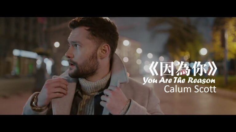 Calum Scott – You Are The Reason 因為你 (中文字幕MV)