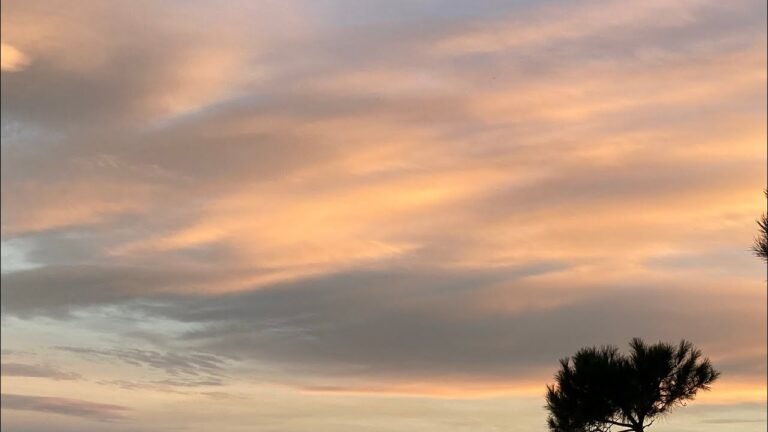 投資日本🇯🇵加入日本🇯🇵國籍的捷徑：經營性簽證～～600萬人民幣～～～成為日本🇯🇵國公民