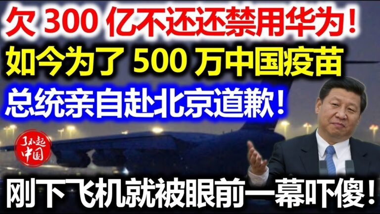 这国欠中国300亿不还还禁用华为，如今为了500万剂中国疫苗，总统亲自赴北京道歉！刚下飞机就被眼前一幕吓傻！