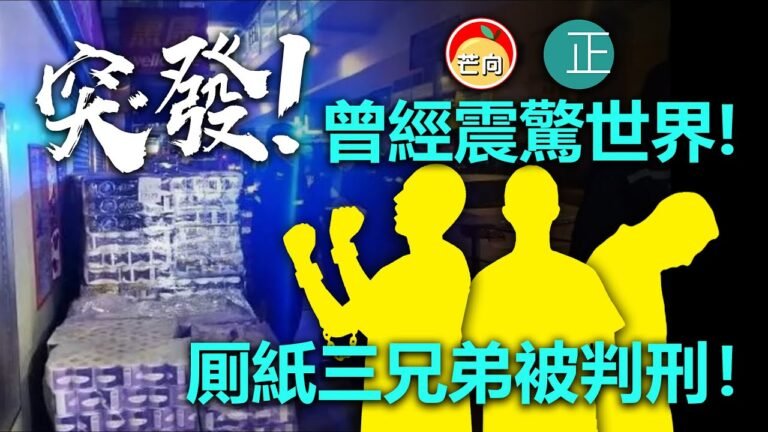20210311M 【突發！】曾經震驚世界😂，厠紙三兄弟被判刑😭   |   芒向快報