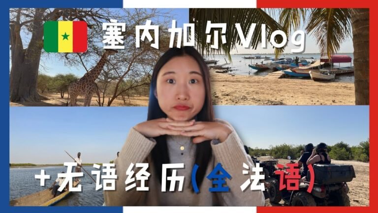 2022🇸🇳 塞内加尔之行 Vlog + 大无语经历😕 (全法语)    Vlog au Sénégal + Pire anecdote