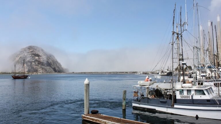 【反超限战情S1E21】2月上旬中共伪装成非军用运-12运输机低空掠过台湾属马祖东引岛上空真实意图是什么？2/18/2022【路德x 艾丽x高卢】