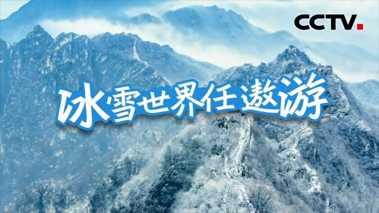 冰雪世界任遨游 | CCTV