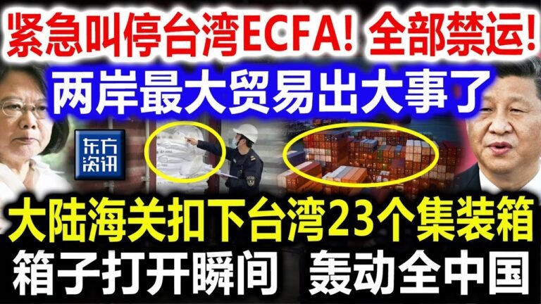 台湾ECFA突然被终止！货物全部停止运输！大陆台湾最大的货物交易出事了！海关拦截25个集装箱，箱子内的东西吓坏全国！