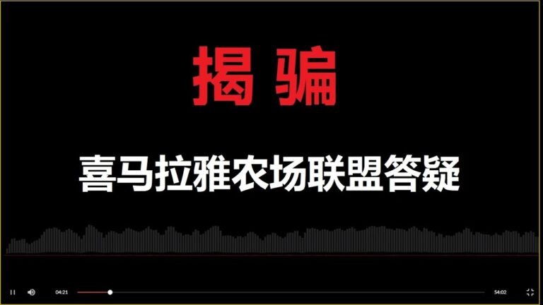 揭骗：点评小喜国黑帮诈骗农场联盟2月15日草根小哥的答疑，郭文贵元宵节申请破产