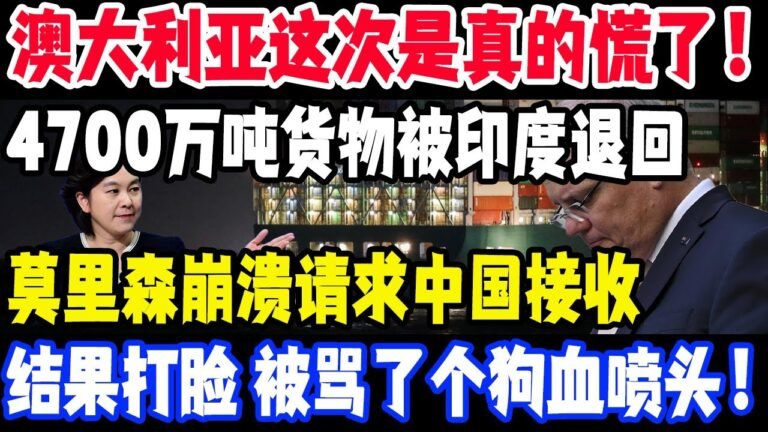 澳大利亚这次是真的慌了，4700万吨货物被印度退回，莫里森崩溃请求中国接收，结果打脸，被骂惨了！#澳大利亚#中国#莫里森#