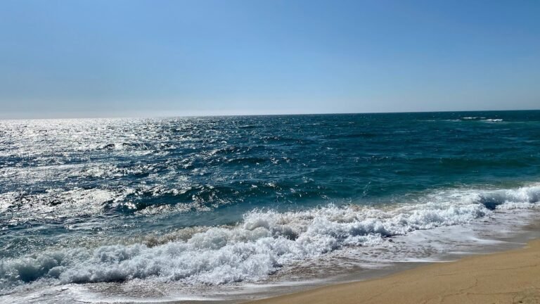 觀眾报喜：申请德国🇩🇪政 治 庇 護，接近于成功，恭喜🎉🎉🎆🎉🎉🎆