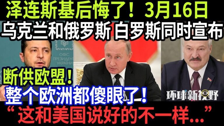 3月16日晚突发！ 泽连斯基后悔了！乌克兰和俄罗斯 白罗斯同时宣布，断供欧盟！整个欧洲都傻眼了！这和美国说好的不一样…【环球新视野】