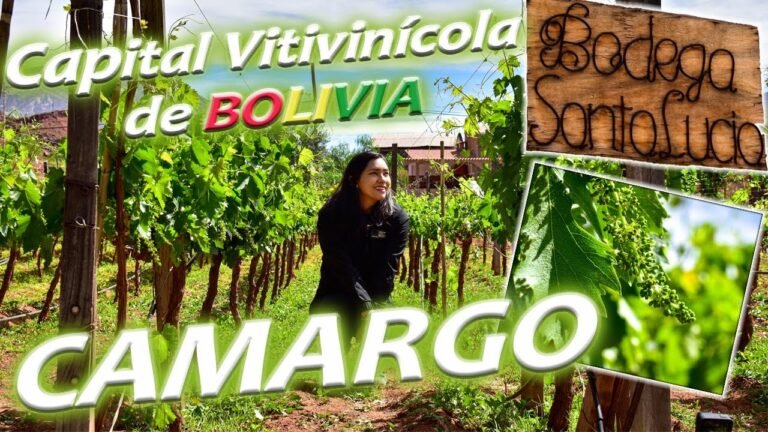 Visitamos "La Capital Vitivinícola de Bolivia, del Sol y el buen Vino" CAMARGO (episodio #20)