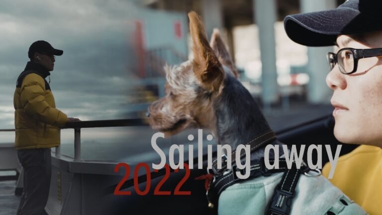 离开便是胜利！2022远航指导。